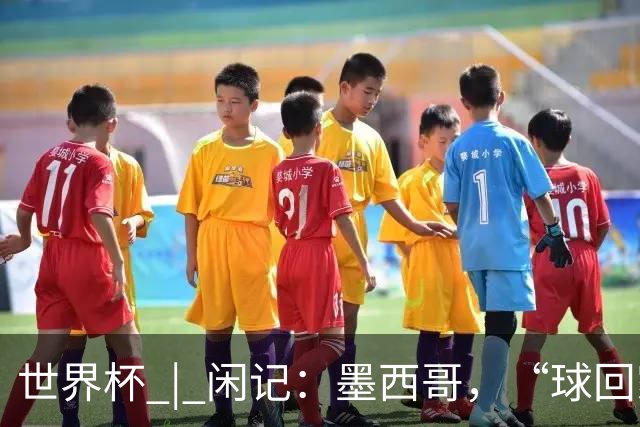 世界杯 | 闲记：墨西哥，“球回家了”