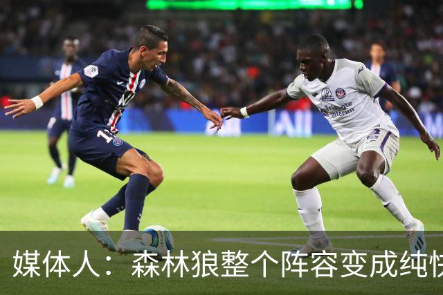 媒体人：森林狼整个阵容变成纯快节奏抢投了 球队也梭哈了